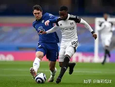 多米APP-富勒姆球队图片