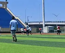 多米全站APP下载-队员们在场上展现出色表现,领先对手一步进入